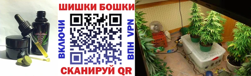 Canna-Cookies марихуана  Чехов 
