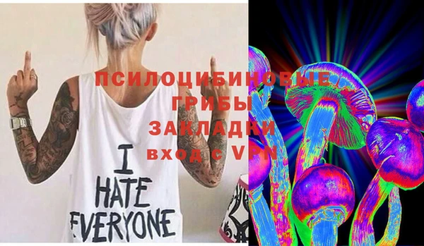 a pvp Армянск